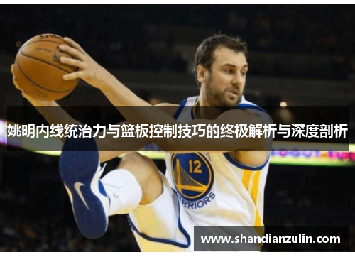 姚明内线统治力与篮板控制技巧的终极解析与深度剖析