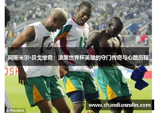阿斯米尔·贝戈维奇：波黑世界杯英雄的守门传奇与心路历程