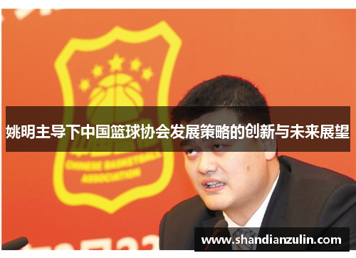 姚明主导下中国篮球协会发展策略的创新与未来展望