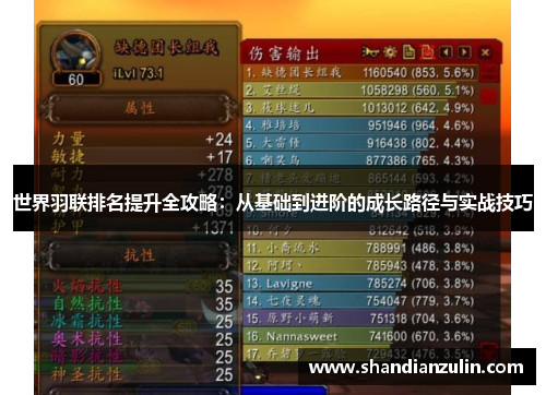 世界羽联排名提升全攻略：从基础到进阶的成长路径与实战技巧