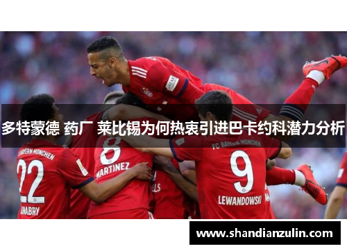 多特蒙德 药厂 莱比锡为何热衷引进巴卡约科潜力分析