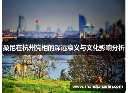 桑尼在杭州亮相的深远意义与文化影响分析