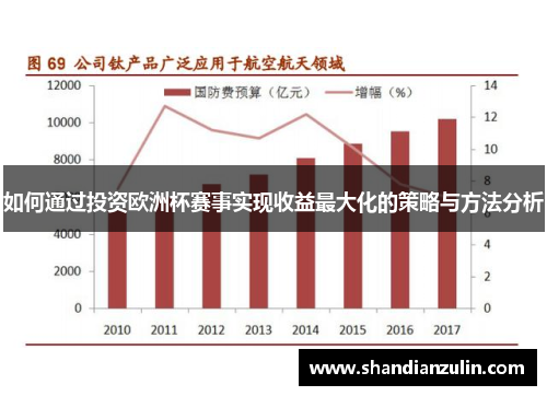 如何通过投资欧洲杯赛事实现收益最大化的策略与方法分析