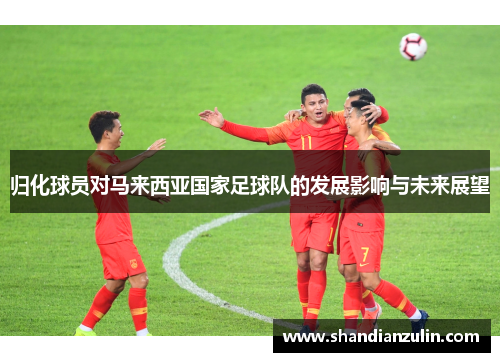 归化球员对马来西亚国家足球队的发展影响与未来展望